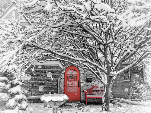 red bench in winter photo