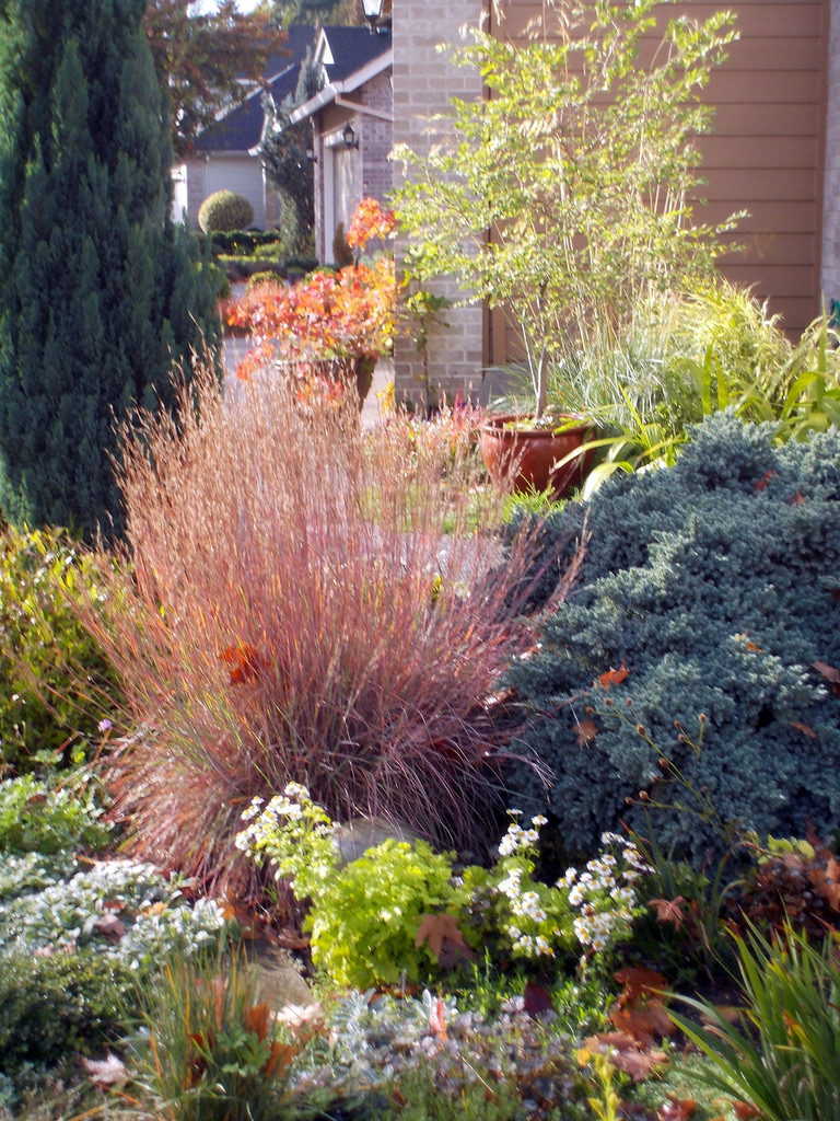 Using a tough plant like the little bluestem in a garden setting